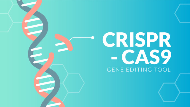 CRISPR EDITING AND THE FUTURE OF PLANT BREEDING