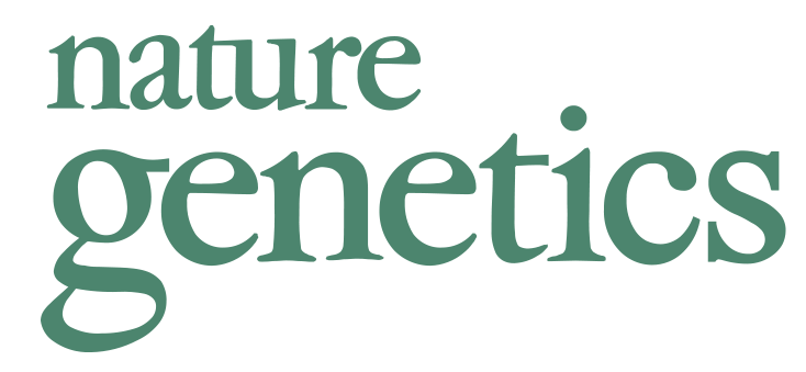 European maize genomes highlight intraspecies variation in repeat and gene content