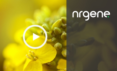 The Canola Journey