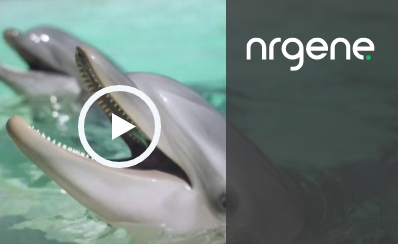 Building a Dolphin Genome Assembly