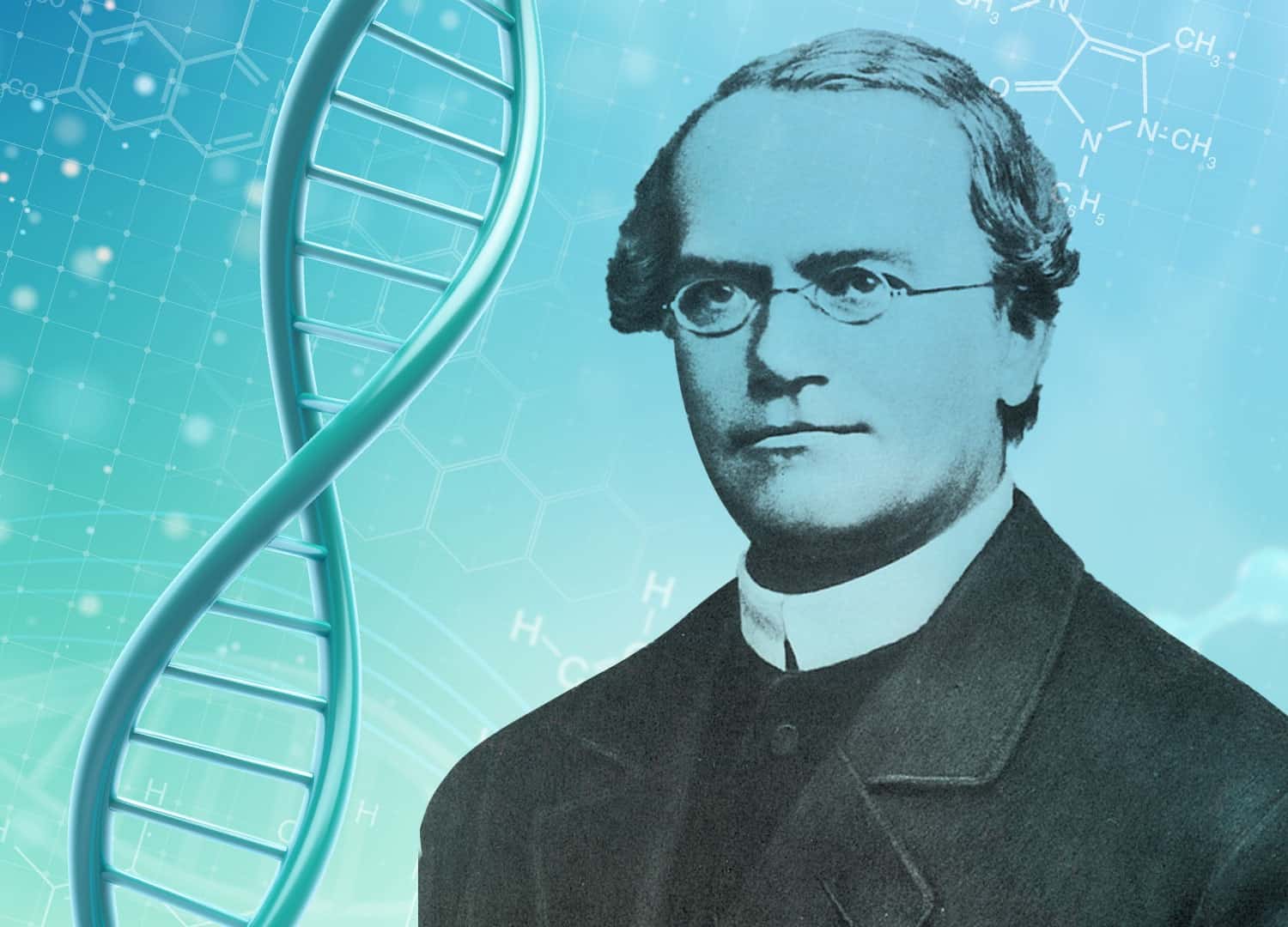 Gregor Mendel – A genius far ahead of his time
