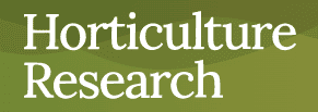 High-quality chromosome-scale genomes facilitate effective identification of large structural variations in hot and sweet peppers